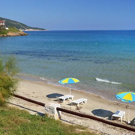 Dolphins House 基尼拉