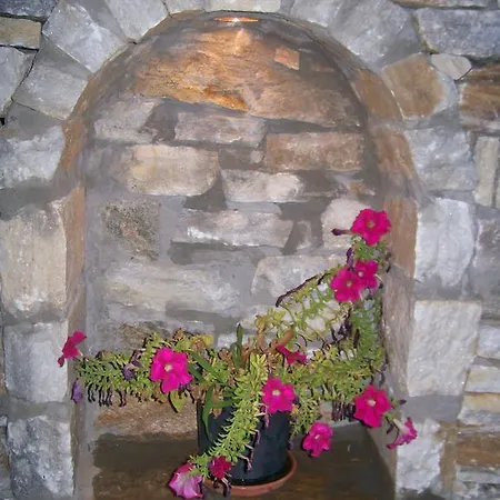 Dolphins House شقة