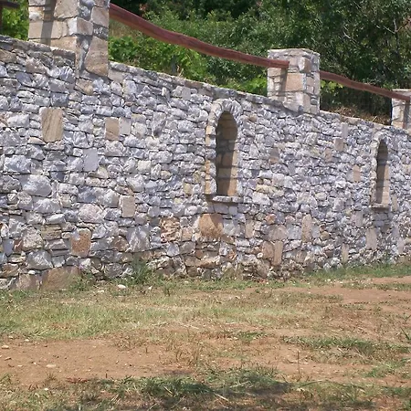 Dolphins House * 基尼拉